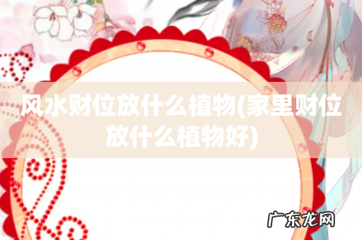 家里财位放什么植物好 风水财位放什么植物