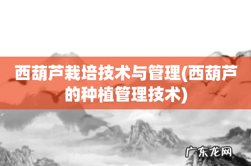 西葫芦的种植管理技术 西葫芦栽培技术与管理