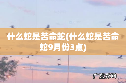 什么蛇是苦命蛇9月份3点 什么蛇是苦命蛇