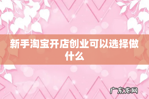 新手淘宝开店创业可以选择做什么