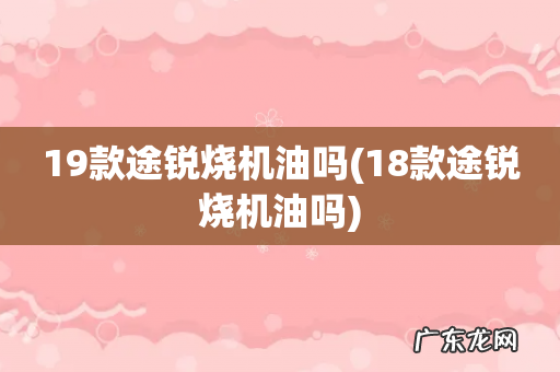 18款途锐烧机油吗 19款途锐烧机油吗