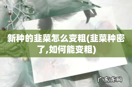 韭菜种密了,如何能变粗 新种的韭菜怎么变粗