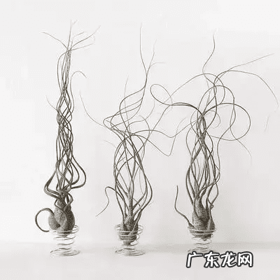 自制鱼缸摆件 自制鱼缸摆件 什么材料合适