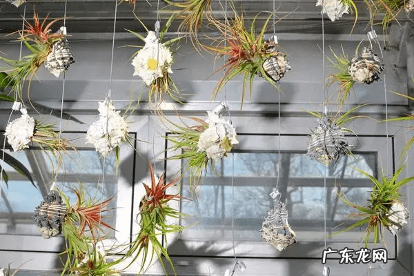 自制鱼缸摆件 自制鱼缸摆件 什么材料合适