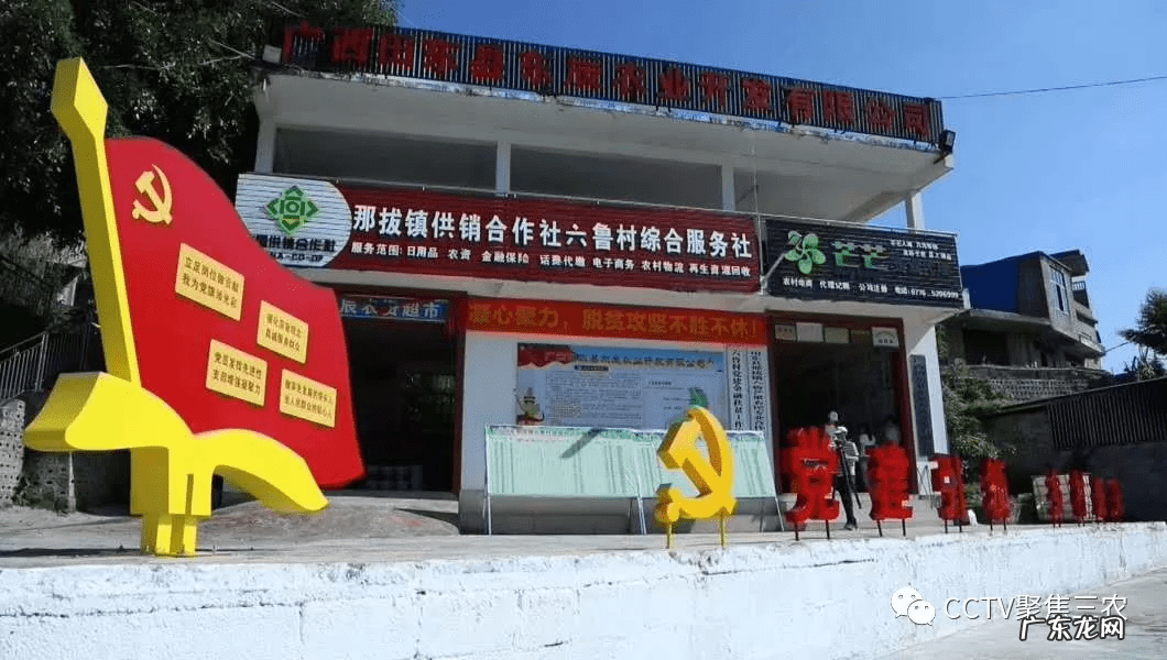 广西横县镇龙风水宝地 田东风水宝地照片