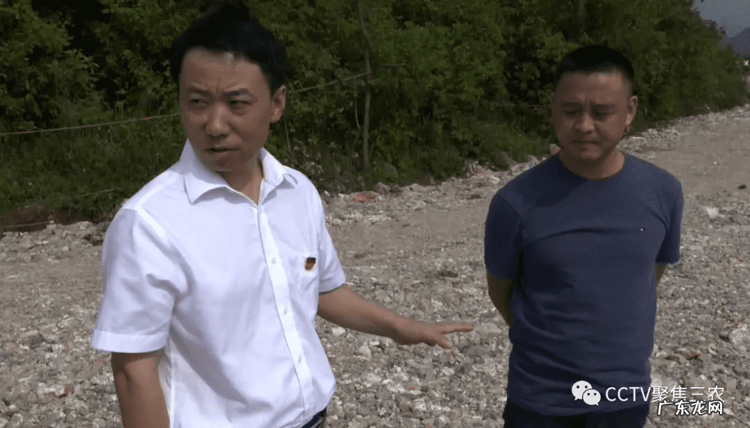 广西横县镇龙风水宝地 田东风水宝地照片