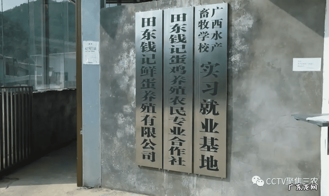 广西横县镇龙风水宝地 田东风水宝地照片