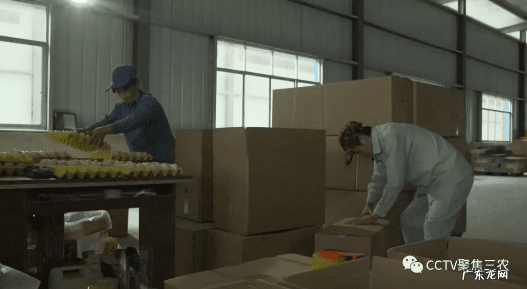 广西横县镇龙风水宝地 田东风水宝地照片