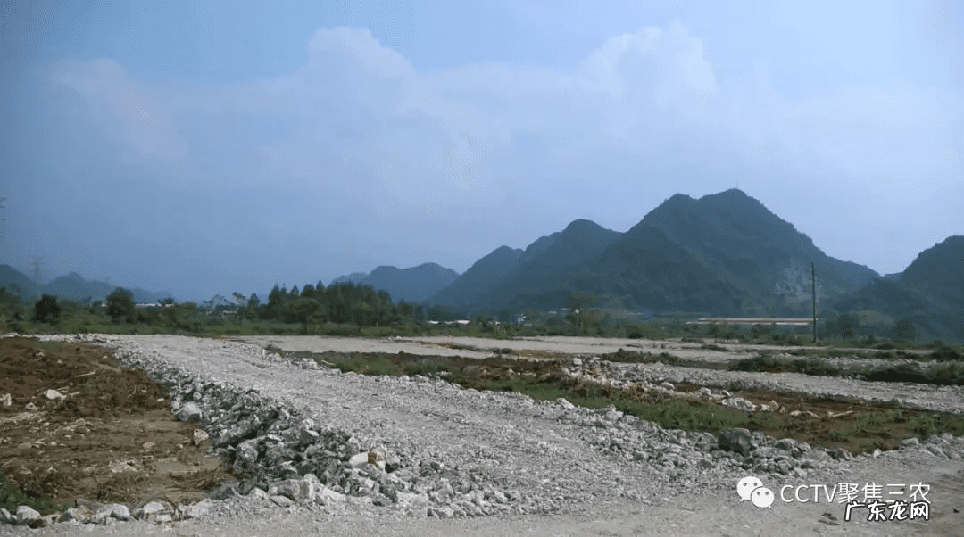广西横县镇龙风水宝地 田东风水宝地照片