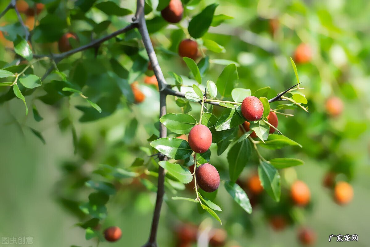 床什么颜色好风水学 金色床的风水