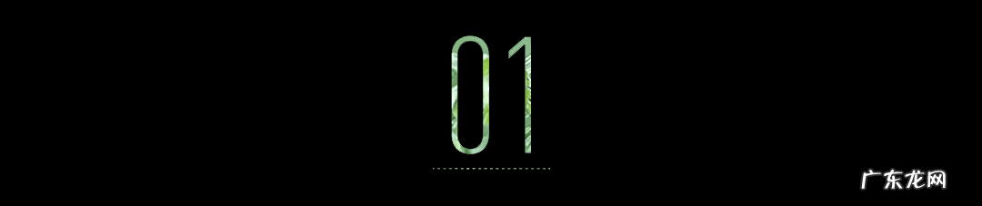 有机化妆品的品牌有哪些 有机化妆品品牌