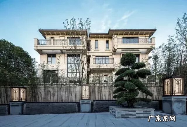 种枫树风水好吗 红枫树有什么寓意风水植物