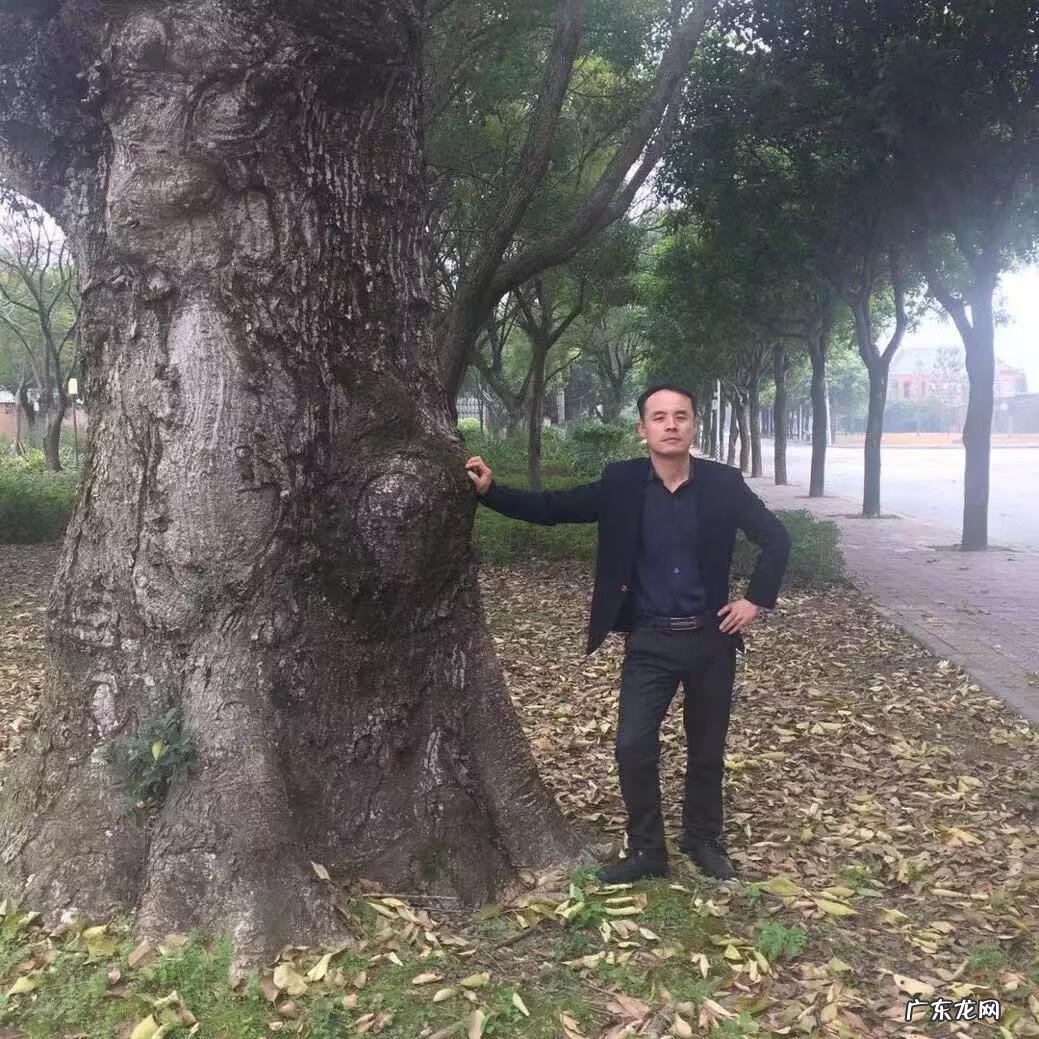 指南针用来看风水 指南针如何看风水