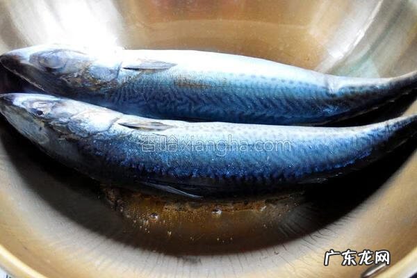 红烧鲅鱼怎样做好吃 红烧鲅鱼步骤