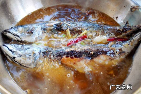红烧鲅鱼怎样做好吃 红烧鲅鱼步骤