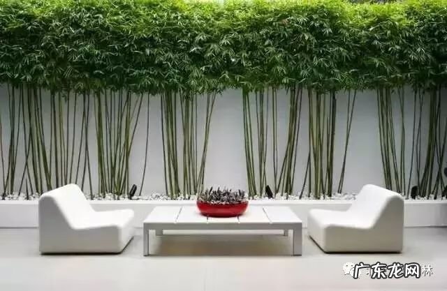 围墙大门风水 住宅围墙风水