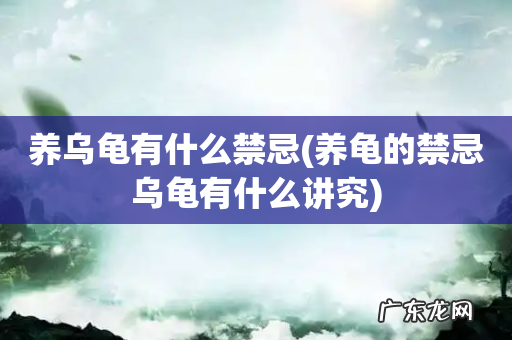 养龟的禁忌乌龟有什么讲究 养乌龟有什么禁忌