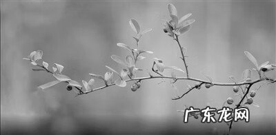 今年的三九天从什么时候开始 三九天从什么时候开始算起