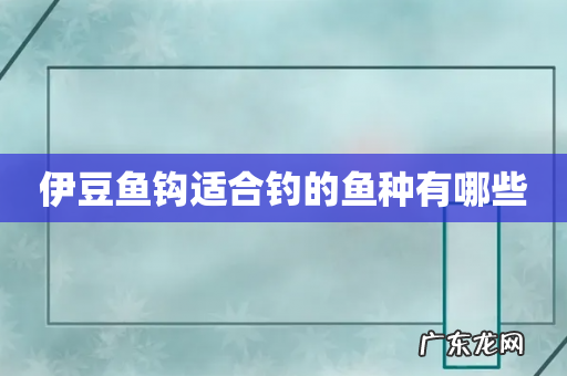 伊豆鱼钩适合钓的鱼种有哪些
