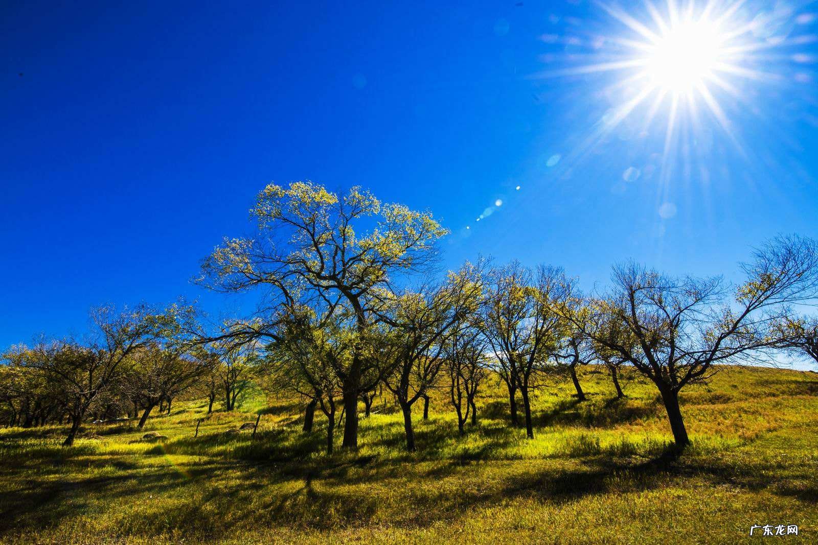 离卦与坎卦的关系 离卦和坎卦在什么方位