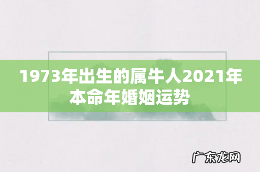 1973年出生的属牛人2021年本命年婚姻运势