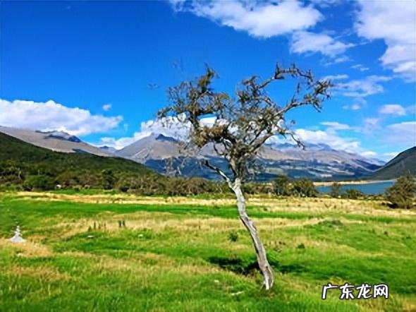 鲁迅对风水的评价语