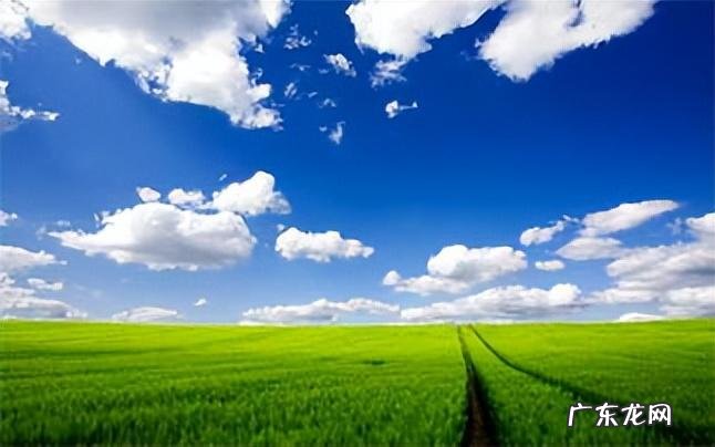 鲁迅对风水的评价语