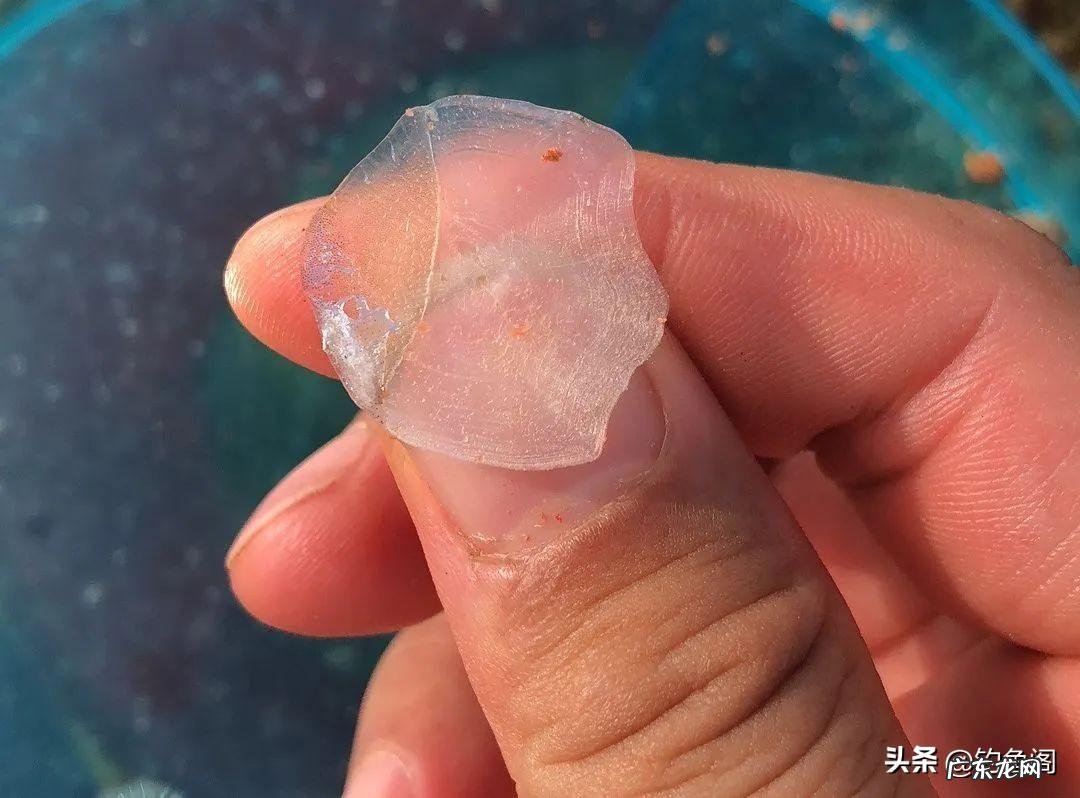 鲤鱼跳水怎么画