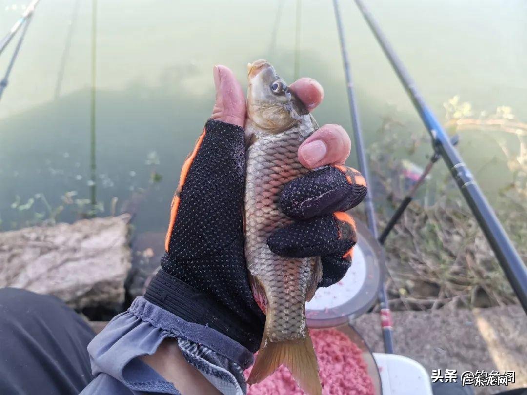 鲤鱼跳水怎么画