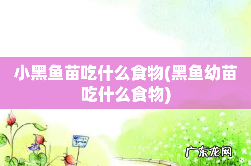 黑鱼幼苗吃什么食物 小黑鱼苗吃什么食物