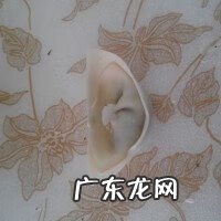 韭菜鸡蛋饺子做法 韭菜鸡蛋饺子的做法