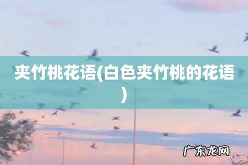 白色夹竹桃的花语 夹竹桃花语