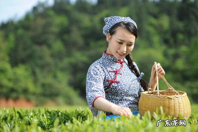 贵人窝 美人窝位置