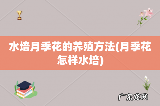 月季花怎样水培 水培月季花的养殖方法