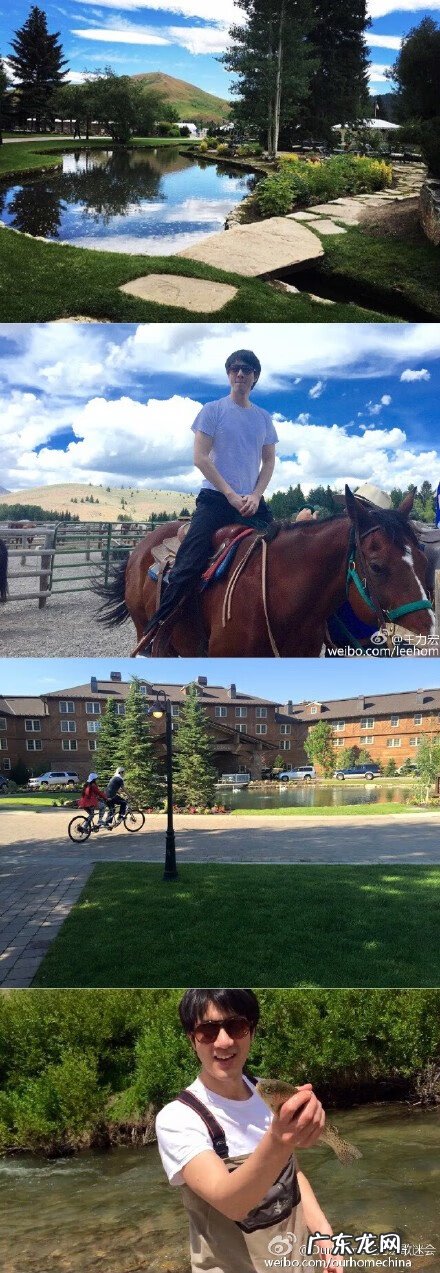 康辉老婆 王力宏妻子是谁