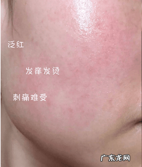 养生歌诀 四季养生歌出处