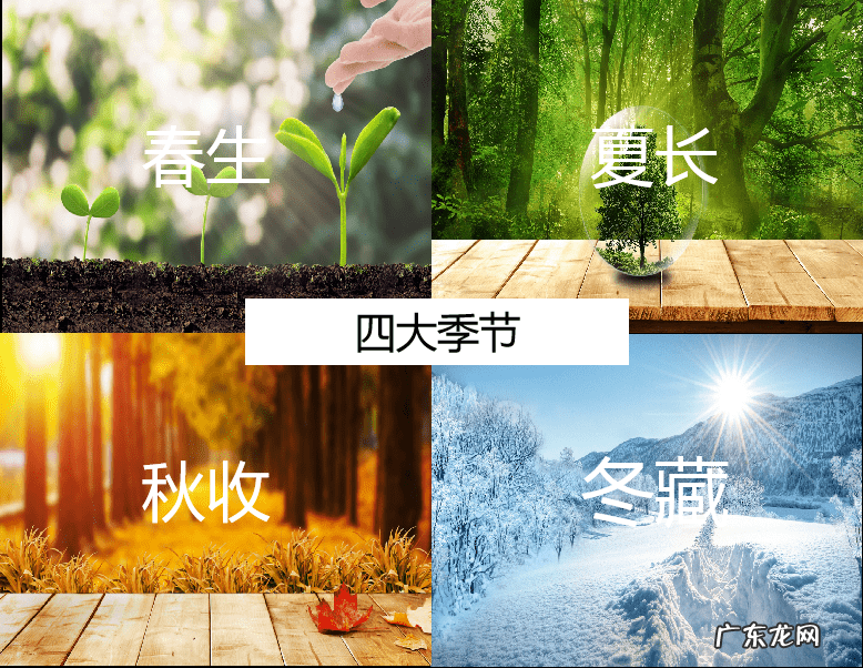 养生歌诀 四季养生歌出处