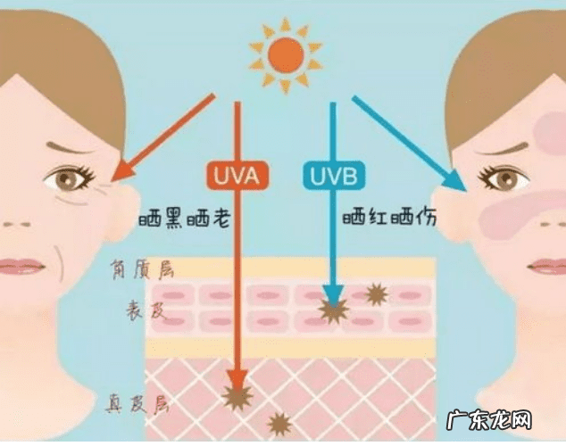 养生歌诀 四季养生歌出处
