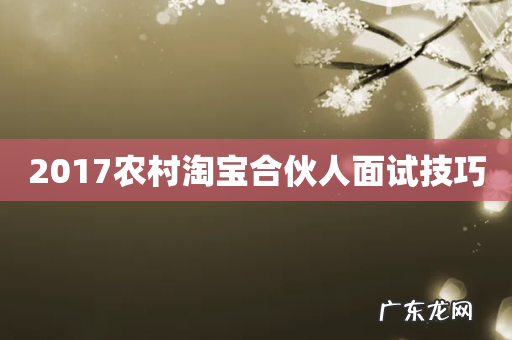 2017农村淘宝合伙人面试技巧
