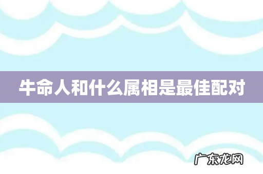 牛命人和什么属相是最佳配对