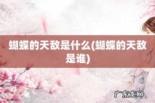 蝴蝶的天敌是谁 蝴蝶的天敌是什么