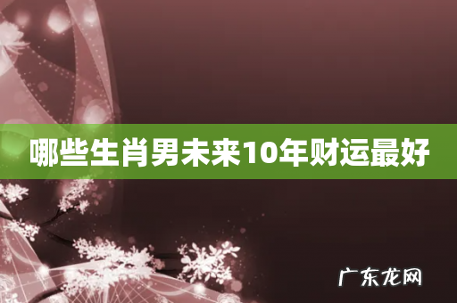 哪些生肖男未来10年财运最好