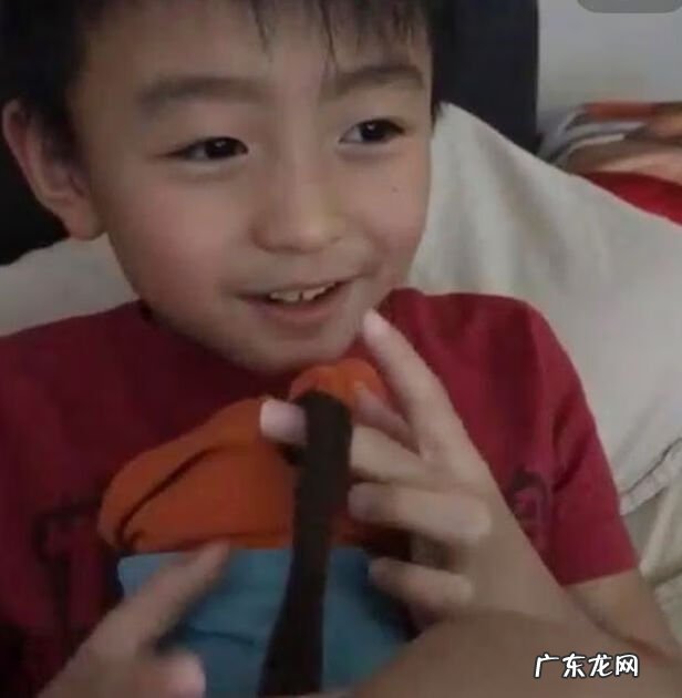 张柏芝儿子 张柏芝的儿子叫什么名