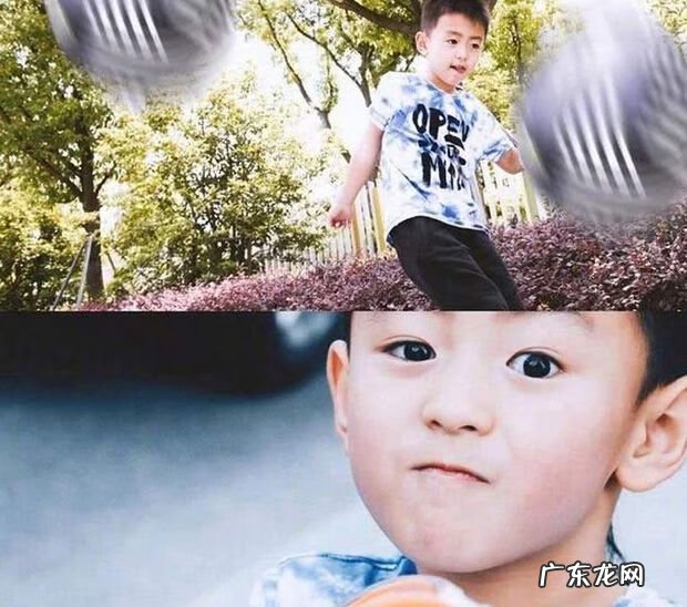 张柏芝儿子 张柏芝的儿子叫什么名