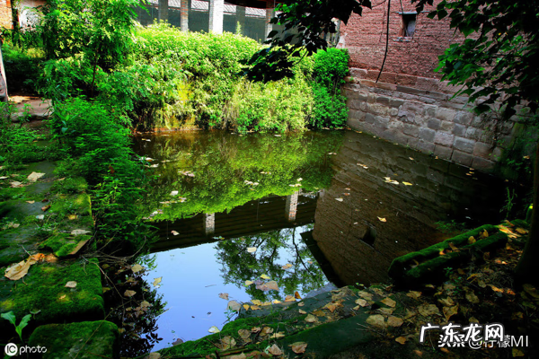 风水先生画的符 风水中常用符