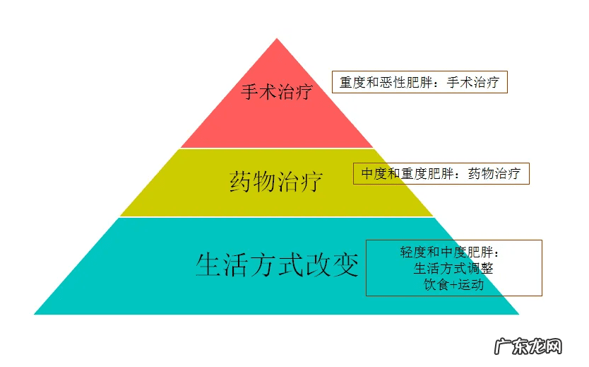 到底哪个减肥药效果最好 哪款减肥药效果最好