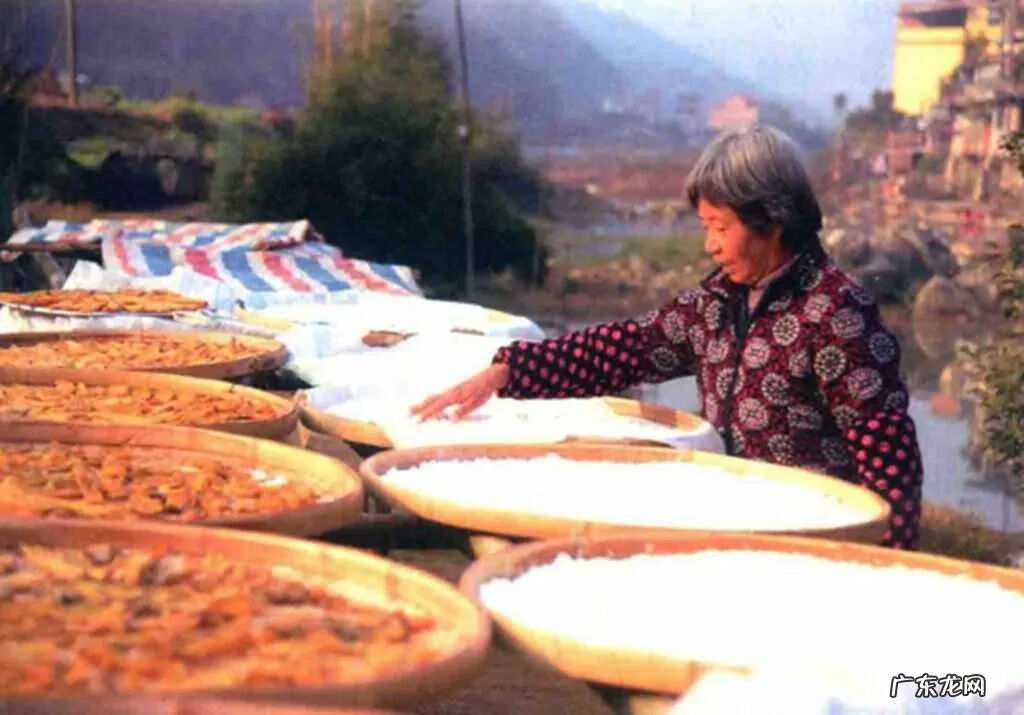 木薯红薯是一样东西吗 木薯和红薯的区别是什么