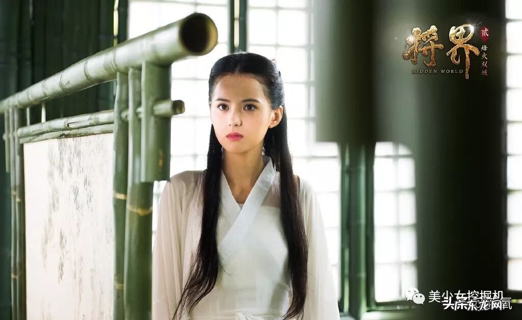 张柏芝二公造型 小张柏芝之称