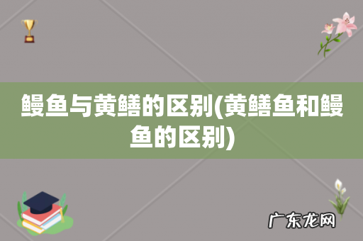 黄鳝鱼和鳗鱼的区别 鳗鱼与黄鳝的区别