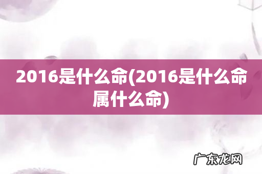 2016是什么命属什么命 2016是什么命